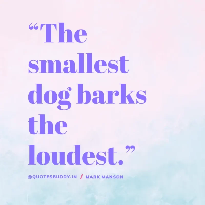 50+ Best Mark Manson Quotes About change, life 21 “The smallest dog barks the loudest.” Mark Manson